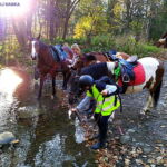 rajd terenowy - poimy konie