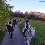 rajd terenowy - w drodze